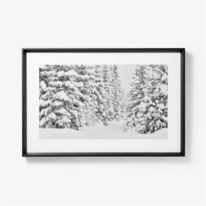 Threshold Studio McGee 30"x20" Winter Tree Scene Framed Wall Art Print